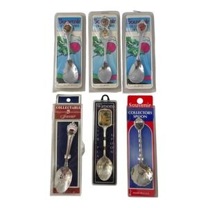 VTG Collection of Souvenir City, State & Landmark Spoons in Orig Cases Lot of 6